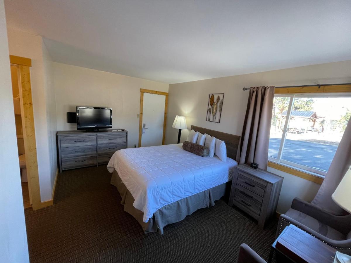 Standard Queen Room - Non Pet Friendly