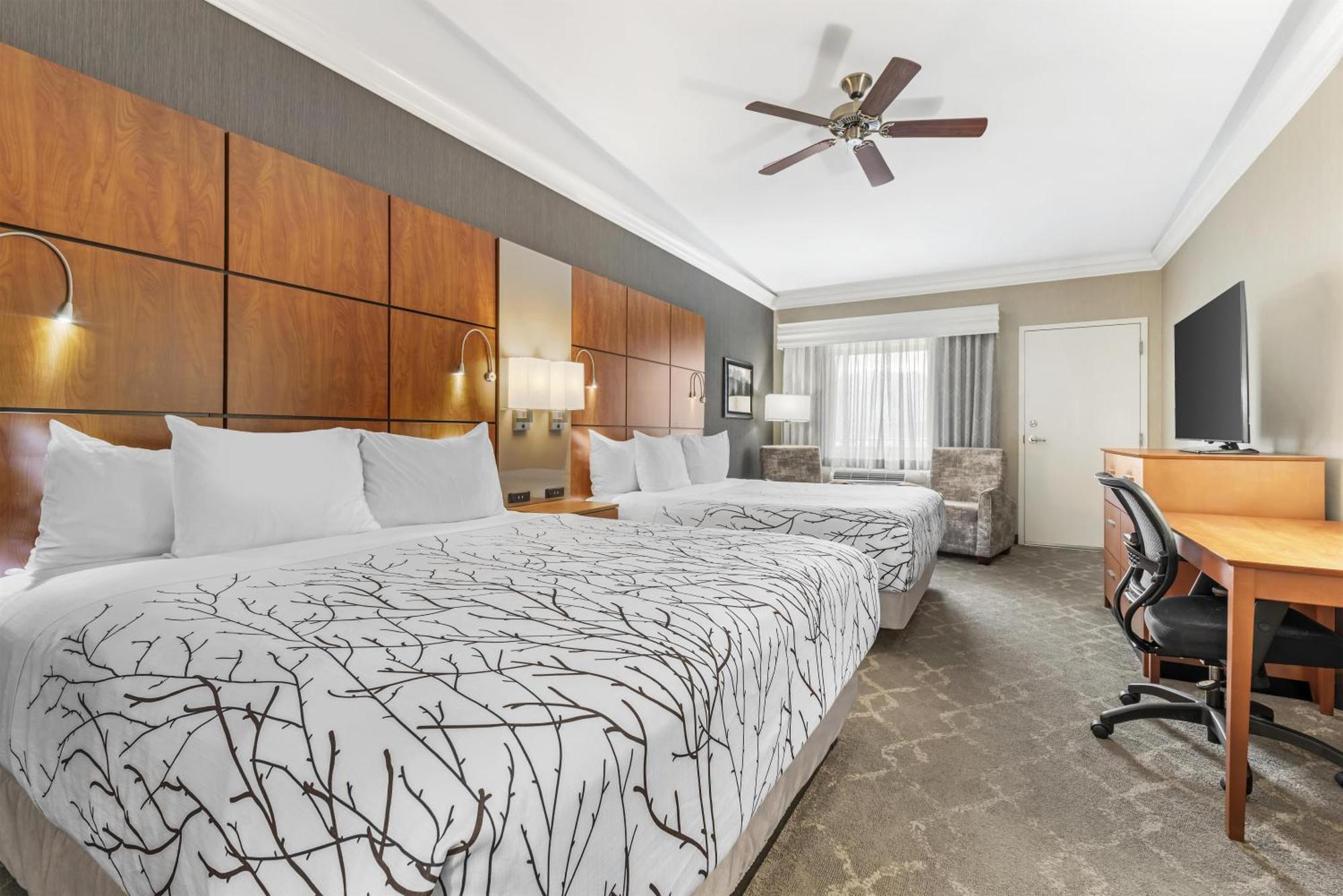 Queen Room with Two Queen Beds - Non-Smoking