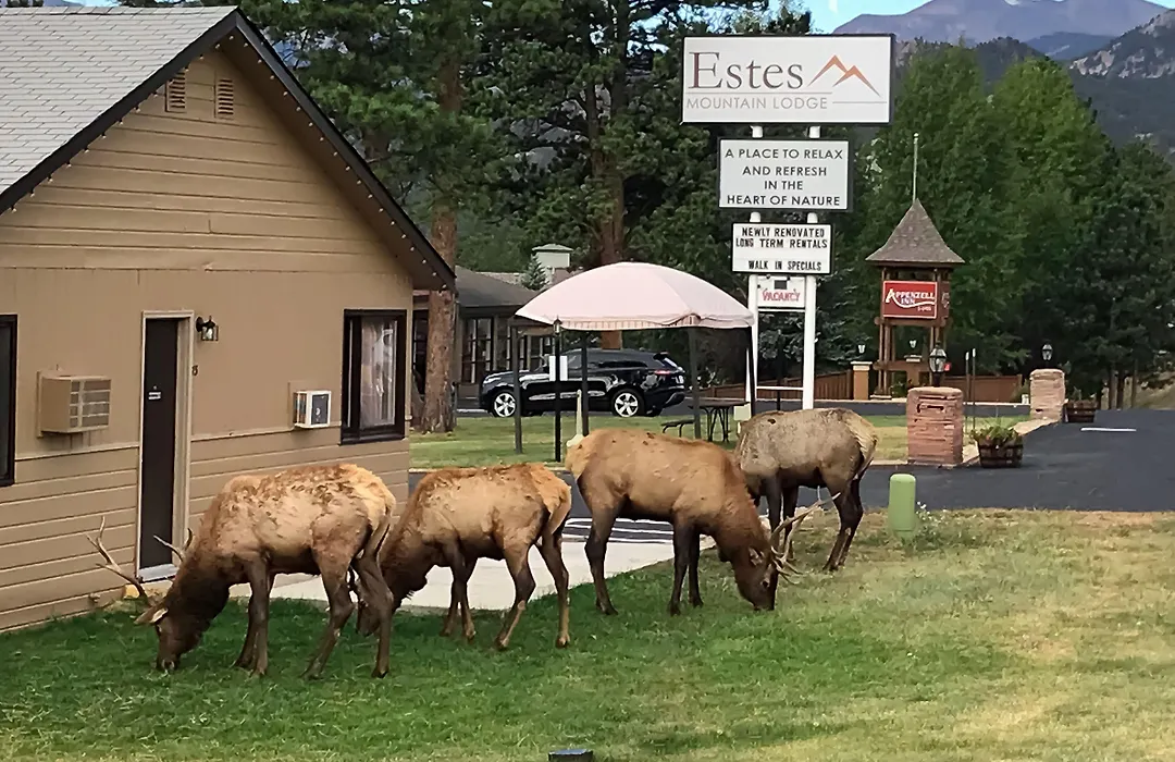Estes Mountain Inn-1