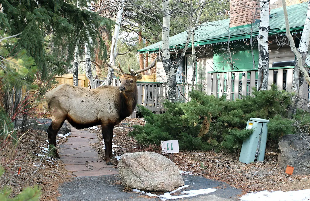 Sunnyside Knoll Resort-1