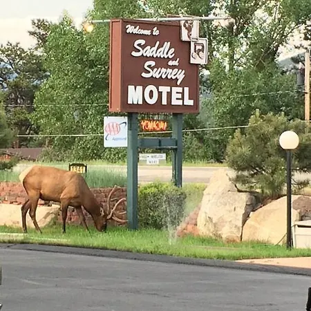 Saddle & Surrey Motel-2