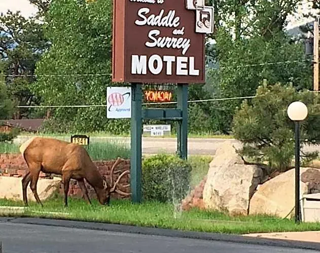 Saddle & Surrey Motel Estes Park